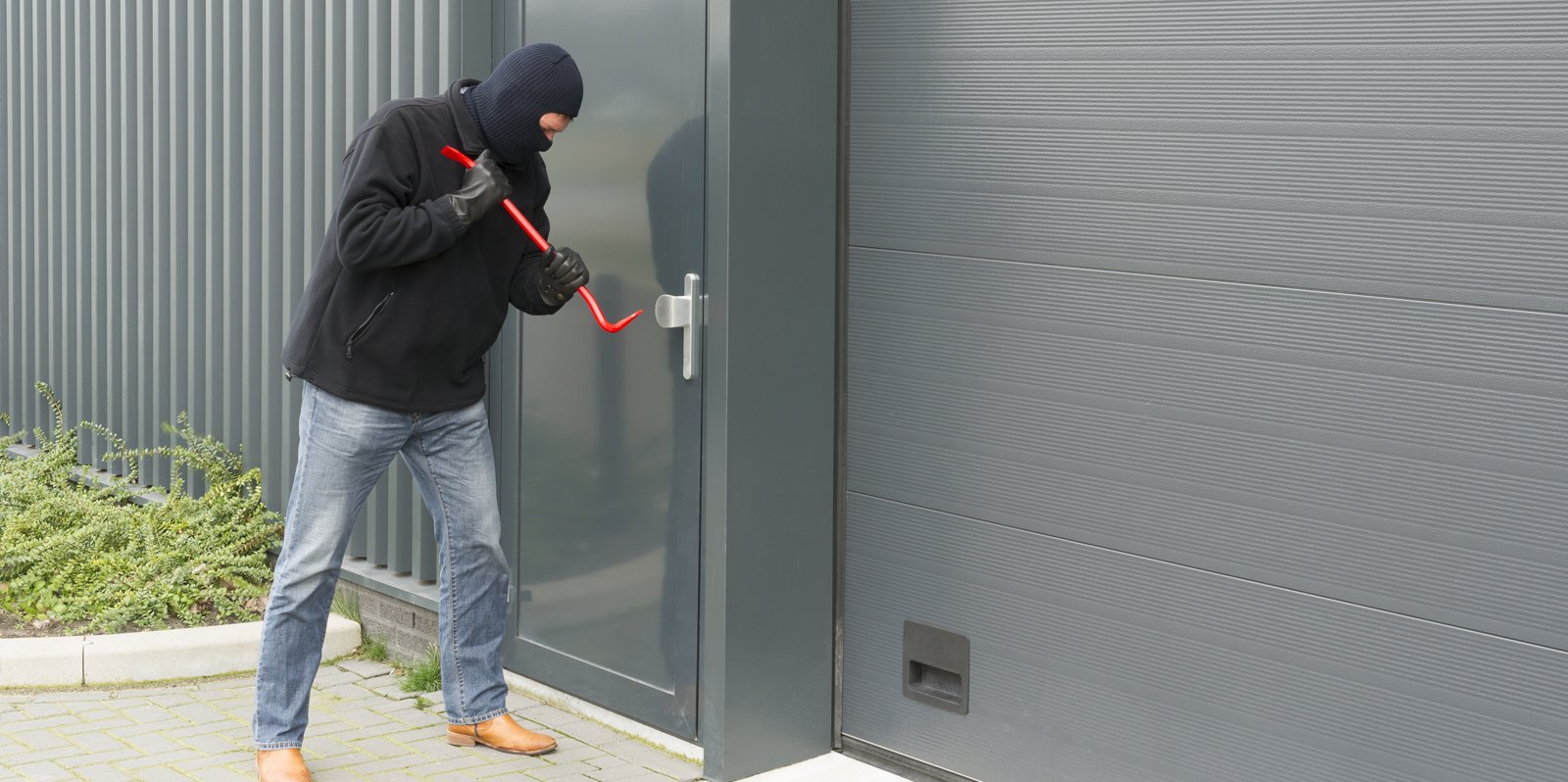 Perimeter Electric Security Fencing System Protection Palisade Solar Electronic Gallagher Power Nemtek Outdoor Residential Wall Boundary Fence Steel Net Gate